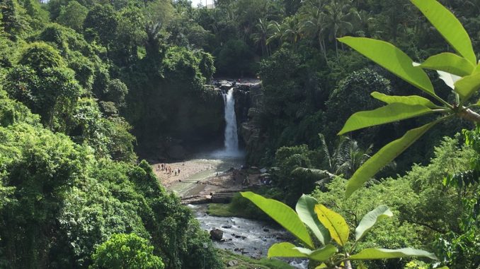 Bali 2017-5