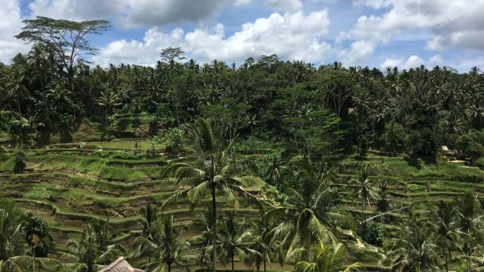 Bali 2017-82