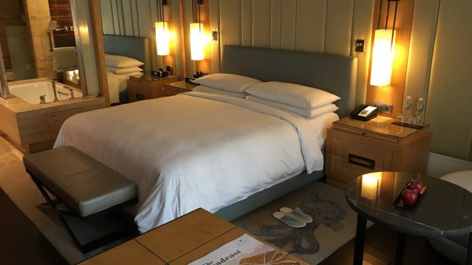 JW Marriott New Delhi Airport Aerocity-5