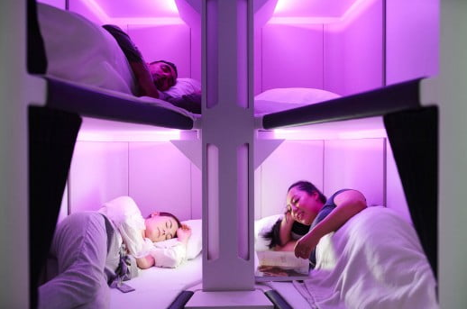 20200226_Air New Zealand Sky Nest