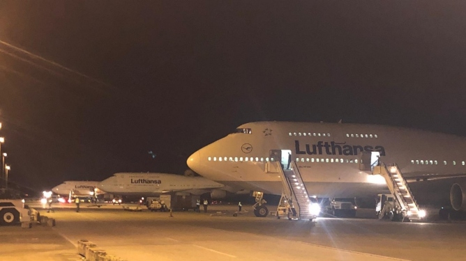 LH Jumbo BGI