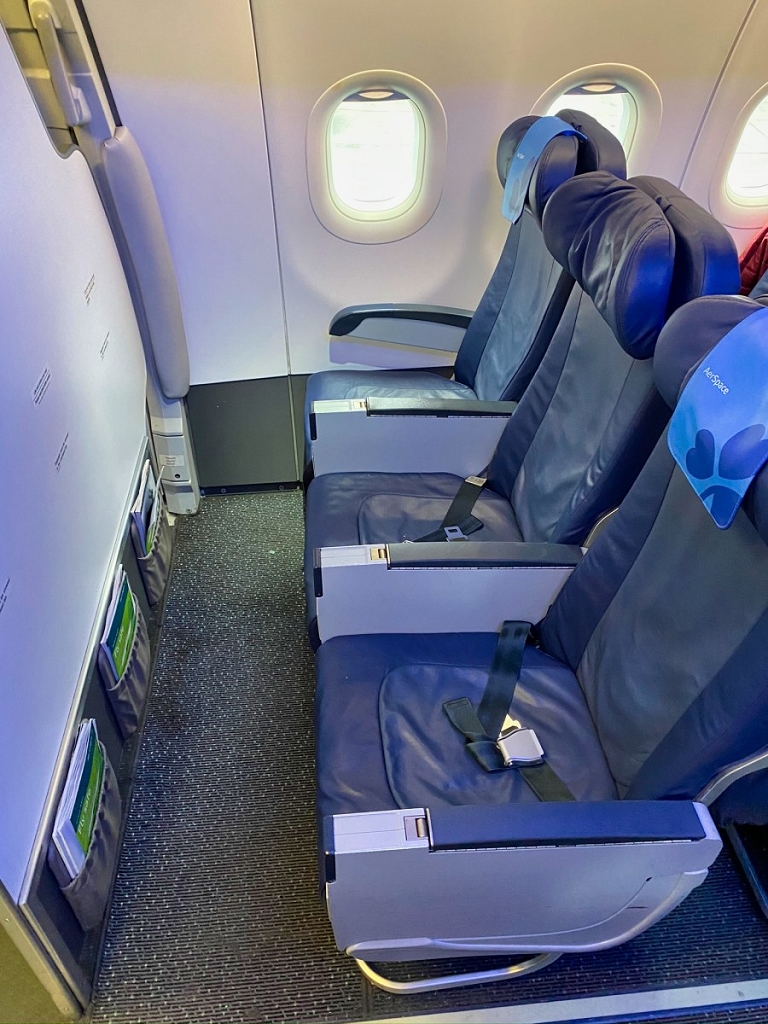 Aer Lingus Premium Economy Seats