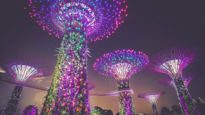 Singapore_Sky_Trees_01