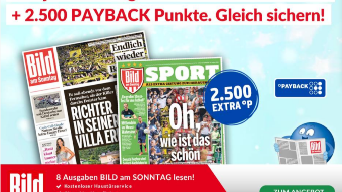 payback_bild_am_sonntag_landingpage
