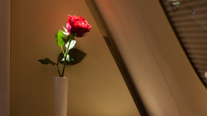 100516_A380_5205.jpg