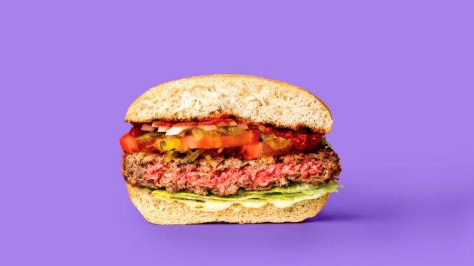 impossible_burger_cross_section (1)